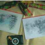 Presidential Christmas Cards