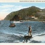 Hunting for Vintage Postcards