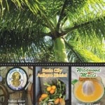 Florida Antique Trail