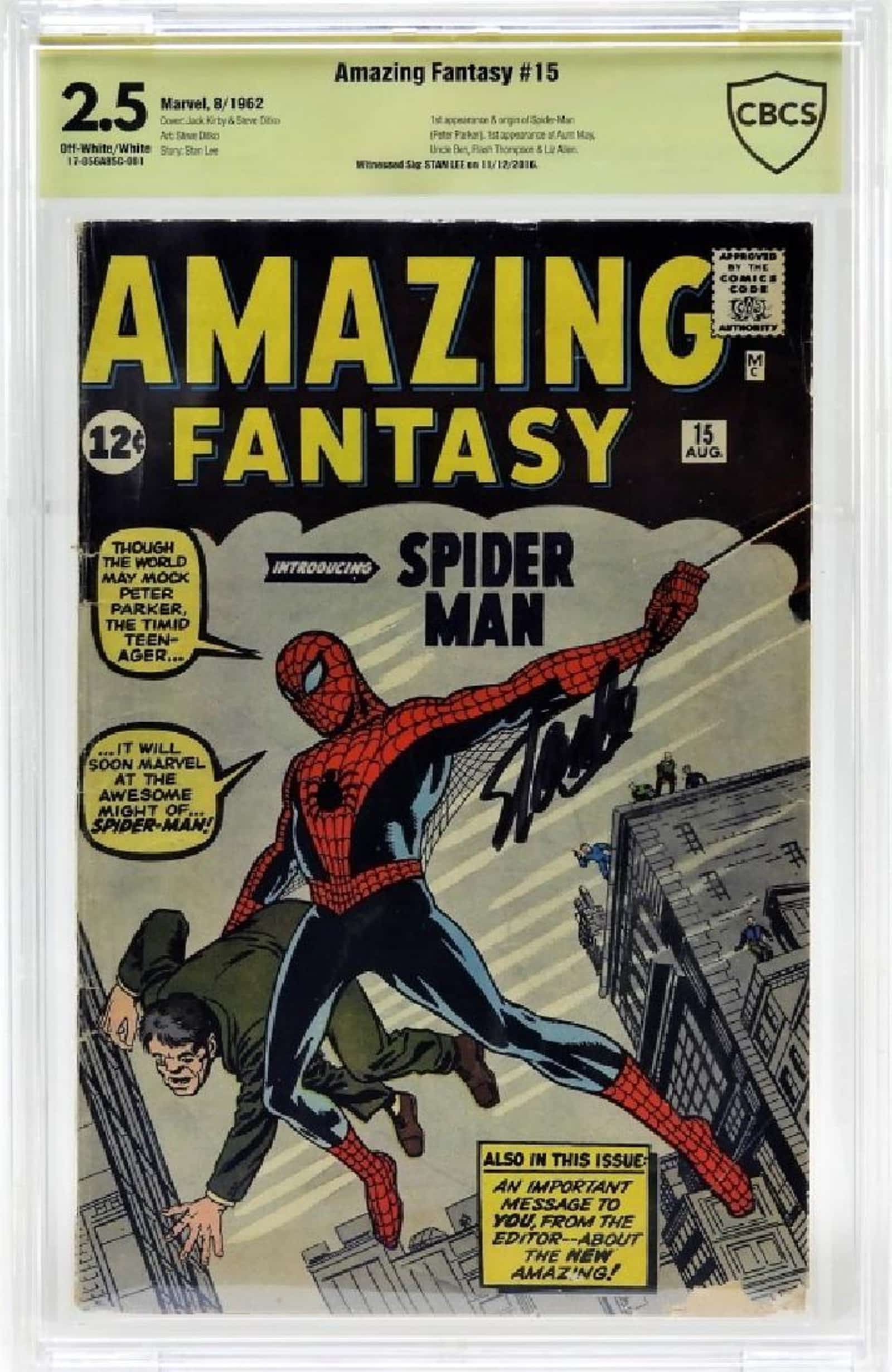 Gavels 'n' Paddles: Amazing Fantasy #15, $13,750, Bruneau & Co.