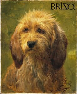 Three dogs from a series of sheepherders’ dogs painted by Rosa Bonheur in 1879  (l-r) Brizo, Martin, and Tayo
