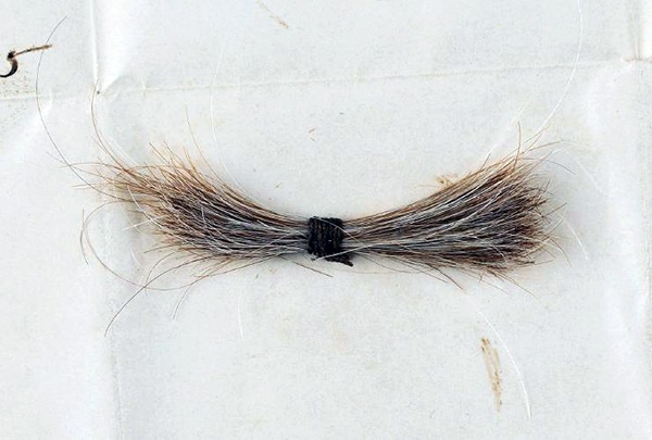 A thin lock of Abraham Lincoln’s hair, taken during his postmortem examination, sold for $81,250 in an online auction that ran from August 21-Sept. 12 by RR Auction, based in Boston, MA.
